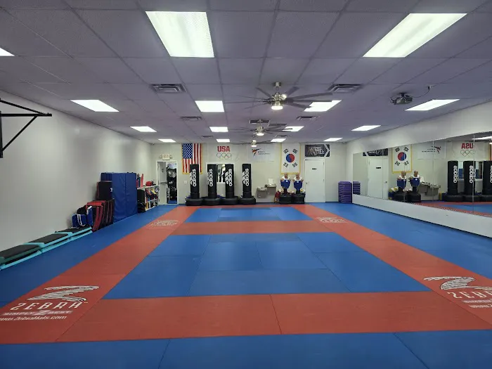 Tae Kwon Do Picture 1