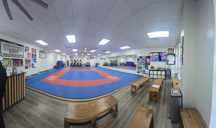 Tae Kwon Do Picture 2