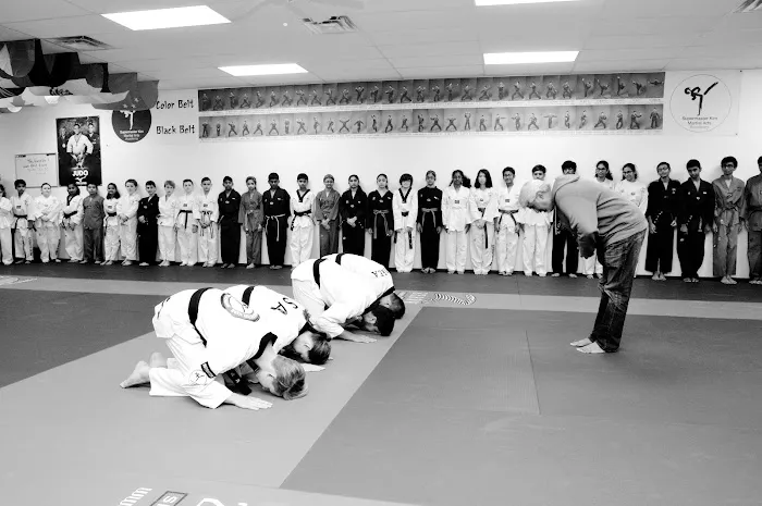 SUPERMASTER KIM TAEKWONDO JUDO ACADEMY Picture 2