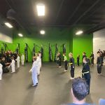 Movement Karate Martial Arts Cumming