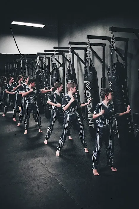 Movement Karate Martial Arts Cumming Picture 6