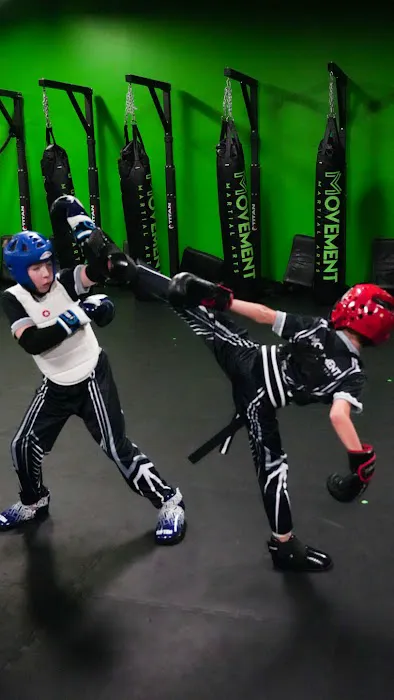 Movement Karate Martial Arts Cumming Picture 8