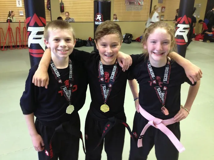 Holly Springs Tiger-Rock Martial Arts Picture 7