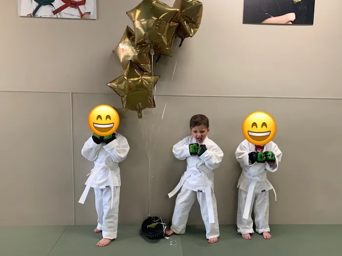 Premier Martial Arts Canton Picture 3