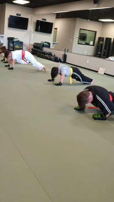 Premier Martial Arts Canton Picture 1