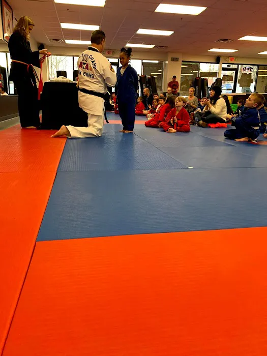 Inspiration Martial Arts Freehome Picture 3