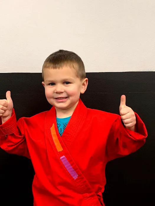 Inspiration Martial Arts Freehome Picture 5