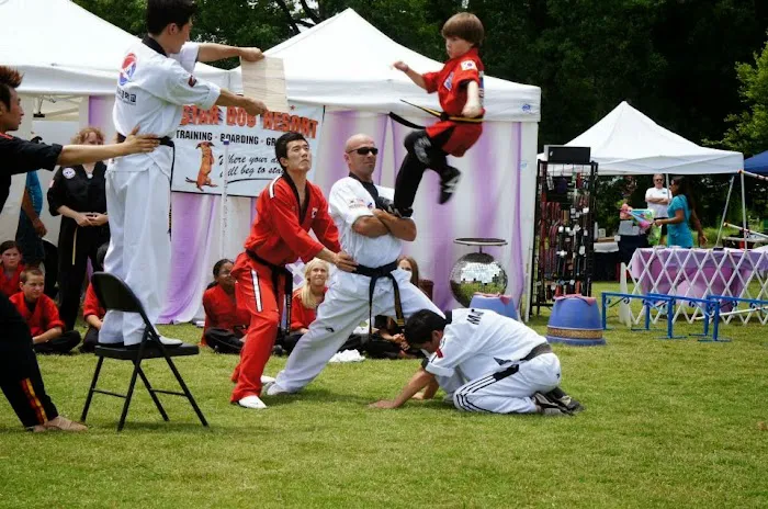World Champion Taekwondo Martial Arts Cumming Picture 7