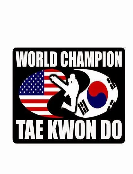 World Champion Taekwondo Martial Arts Cumming Picture 9