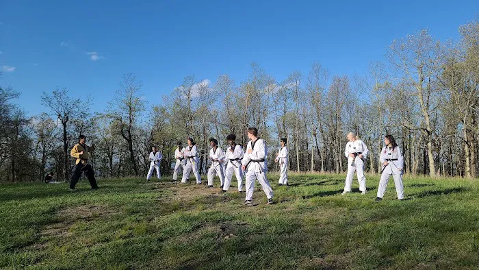 Moohan Martial Arts of Cumming -Bethelview Picture 8