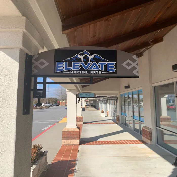 Elevate Martial Arts and Fitness Picture 3