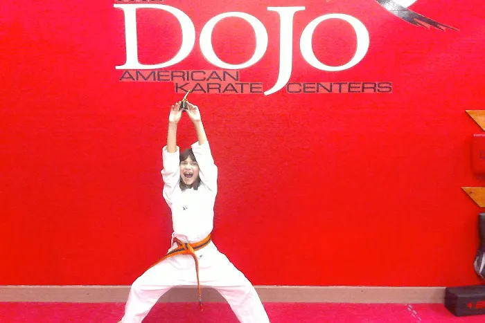 The Dojo American Karate Centers Picture 1