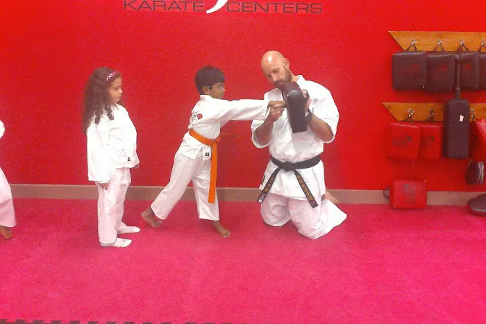 The Dojo American Karate Centers Picture 3