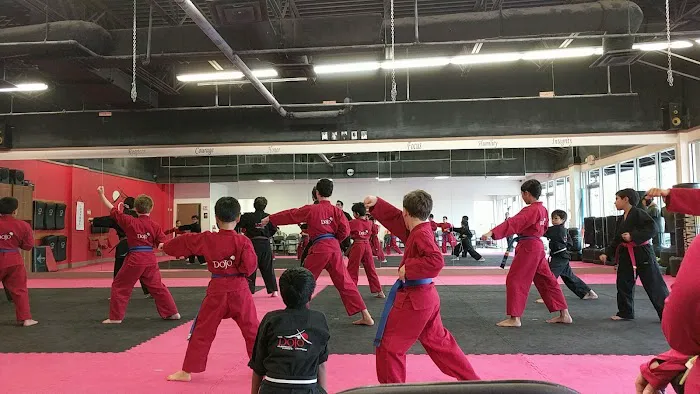 The Dojo American Karate Centers Picture 6