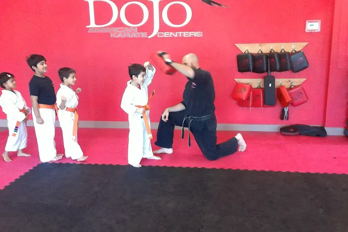 The Dojo American Karate Centers Picture 8