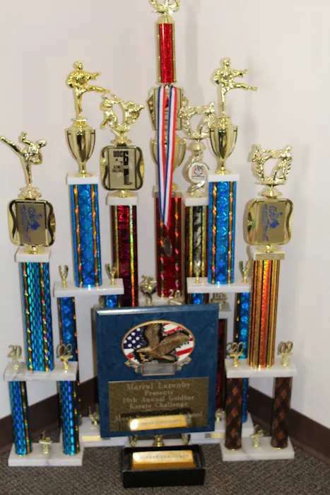 The Dojo American Karate Centers Picture 10