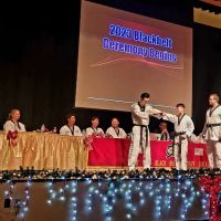 Topclass Taekwondo_USA ico