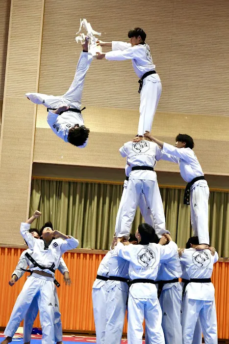 Topclass Taekwondo_USA Picture 2