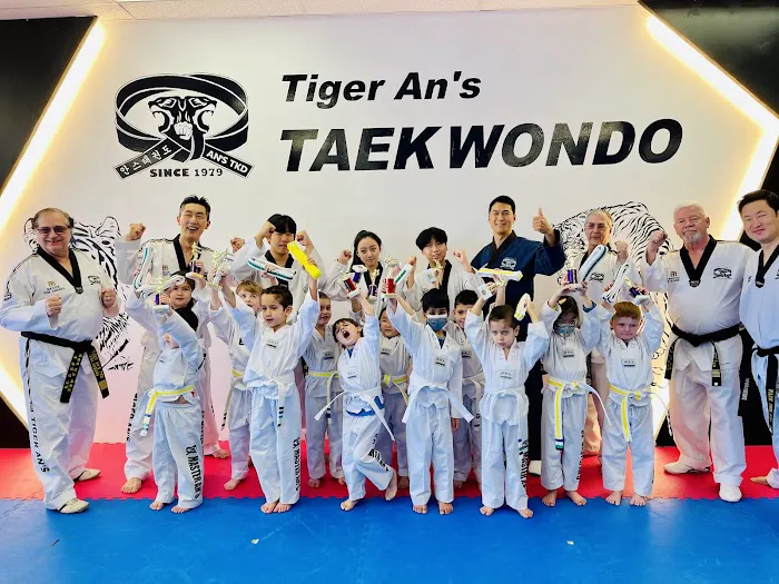 Topclass Taekwondo_USA Picture 4