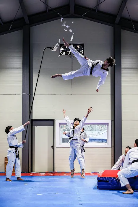 Topclass Taekwondo_USA Picture 6