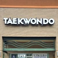 Master Jang's Taekwondo ico