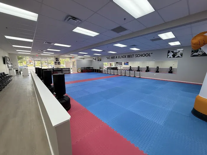 United Family Taekwondo Auburn/Dacula Picture 7