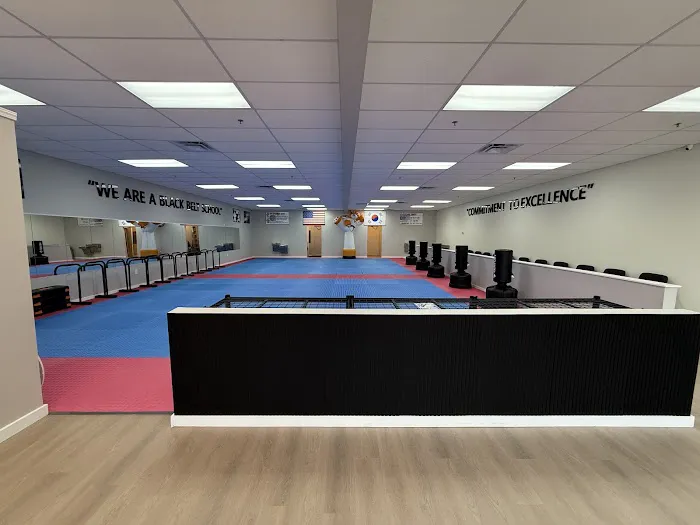 United Family Taekwondo Auburn/Dacula Picture 5