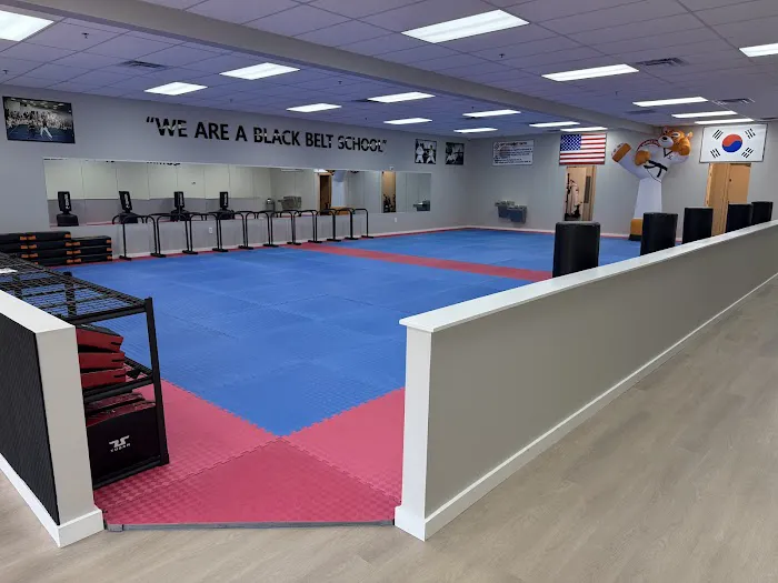 United Family Taekwondo Auburn/Dacula Picture 6