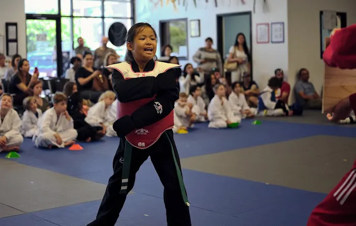 Champion Taekwondo Martial Arts Picture 2