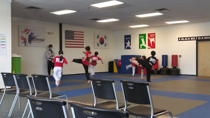 Champion Taekwondo Martial Arts Picture 1