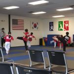 Champion Taekwondo Martial Arts