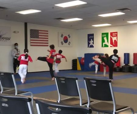 Champion Taekwondo Martial Arts