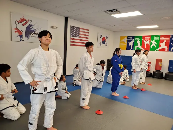 Champion Taekwondo Martial Arts Picture 7