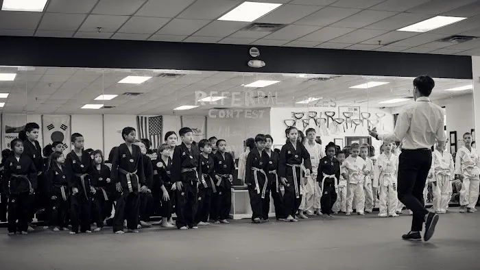 Champion Taekwondo Martial Arts Picture 4