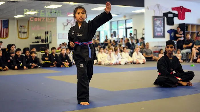Champion Taekwondo Martial Arts Picture 6