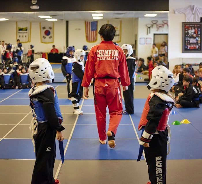 Champion Taekwondo Martial Arts Picture 5