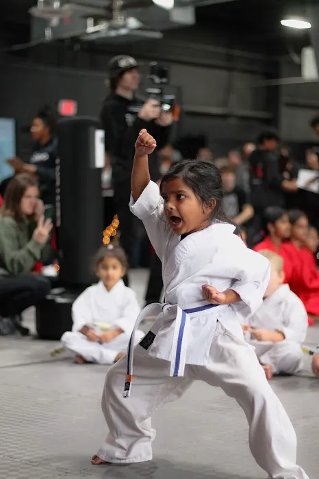 The Dojo - South Forsyth Picture 3