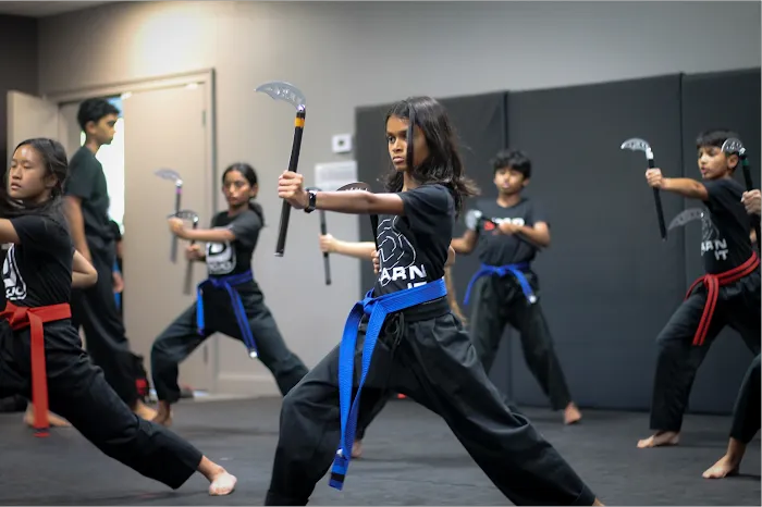 The Dojo - South Forsyth Picture 10