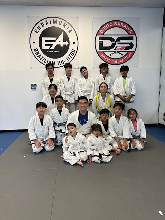 Eudaimonia Jiu-Jitsu Picture 1