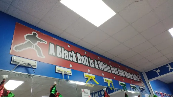 World Champion Taekwondo Picture 3