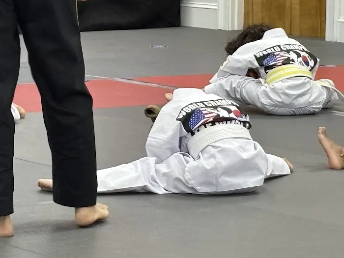 World Champion Taekwondo Picture 8