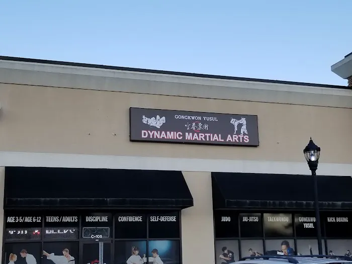 Dynamic Martial Arts Academy HQ Picture 2