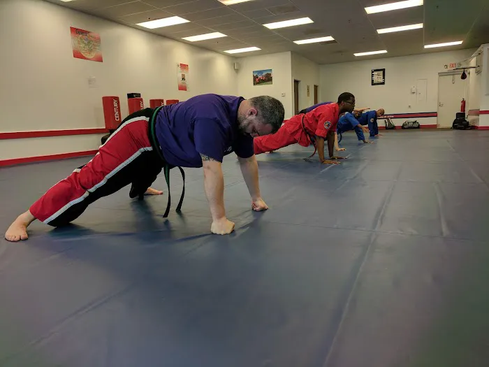 Choe's HapKiDo Picture 2