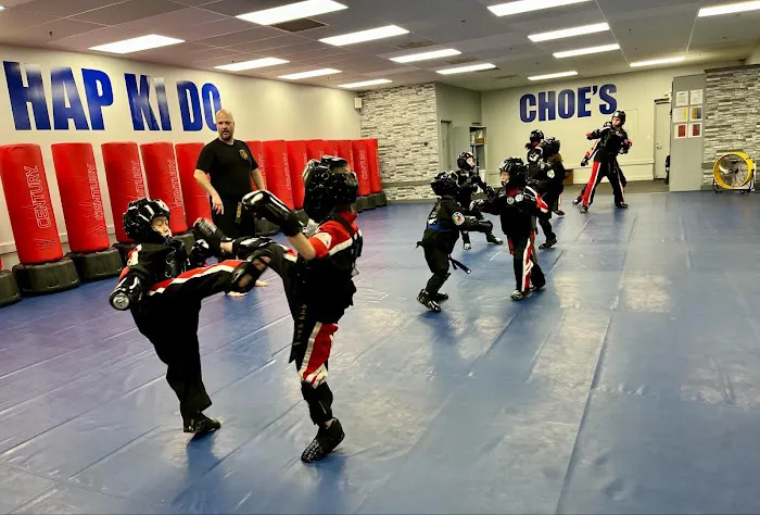 Choe's HapKiDo Picture 6