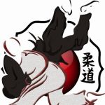 CMAC Judo