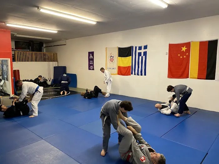 Raven Brazilian Jiu-Jitsu Picture 2