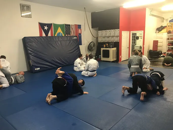 Raven Brazilian Jiu-Jitsu Picture 5