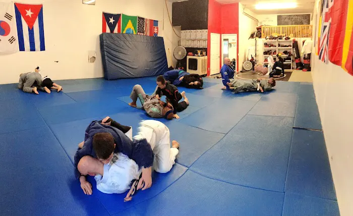 Raven Brazilian Jiu-Jitsu Picture 7