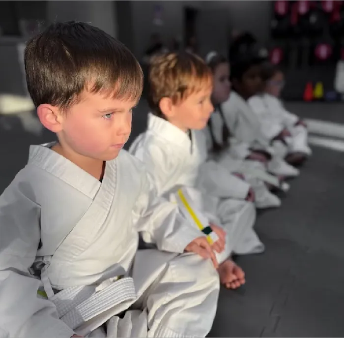 The Dojo Cumming City Center Picture 10