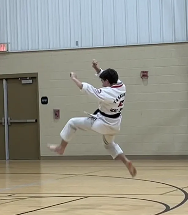 North Georgia Martial Arts Picture 2